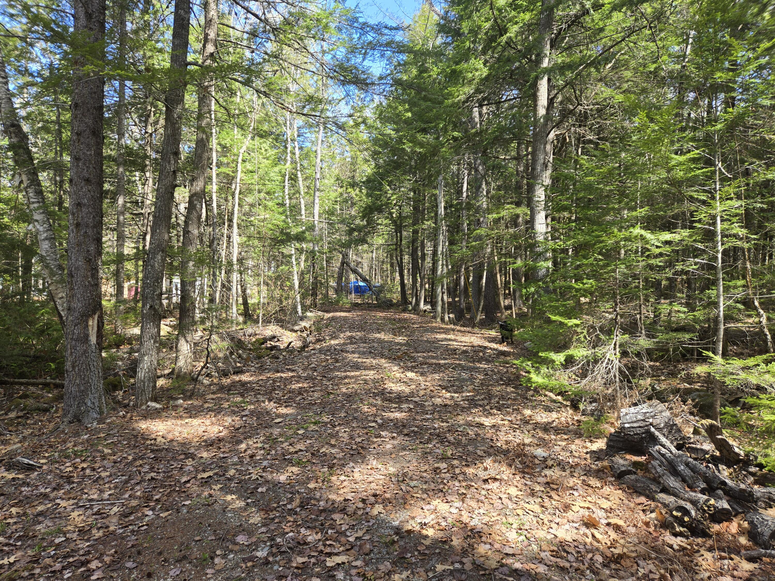 146 Thoroughfare Road Island Falls ME 04747