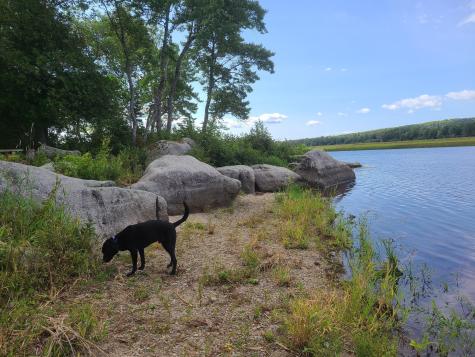 146 Thoroughfare Road Island Falls ME 04747