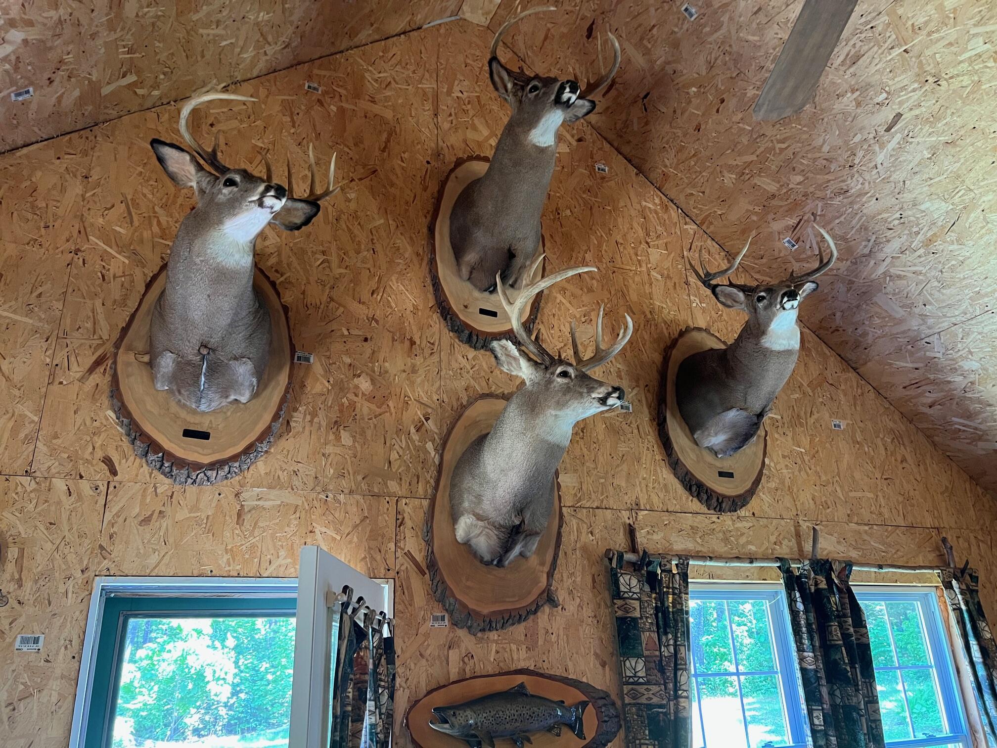 Map 2 Lot 47 W Brighton Road Brighton Plt ME 04912