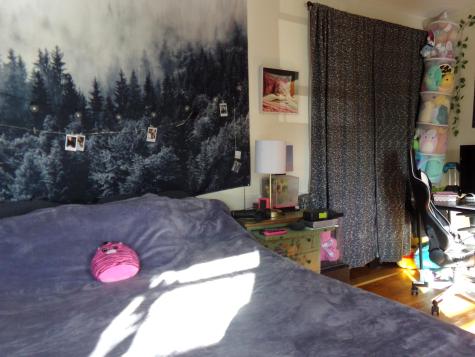 25 Belleview Avenue Winter Harbor ME 04693