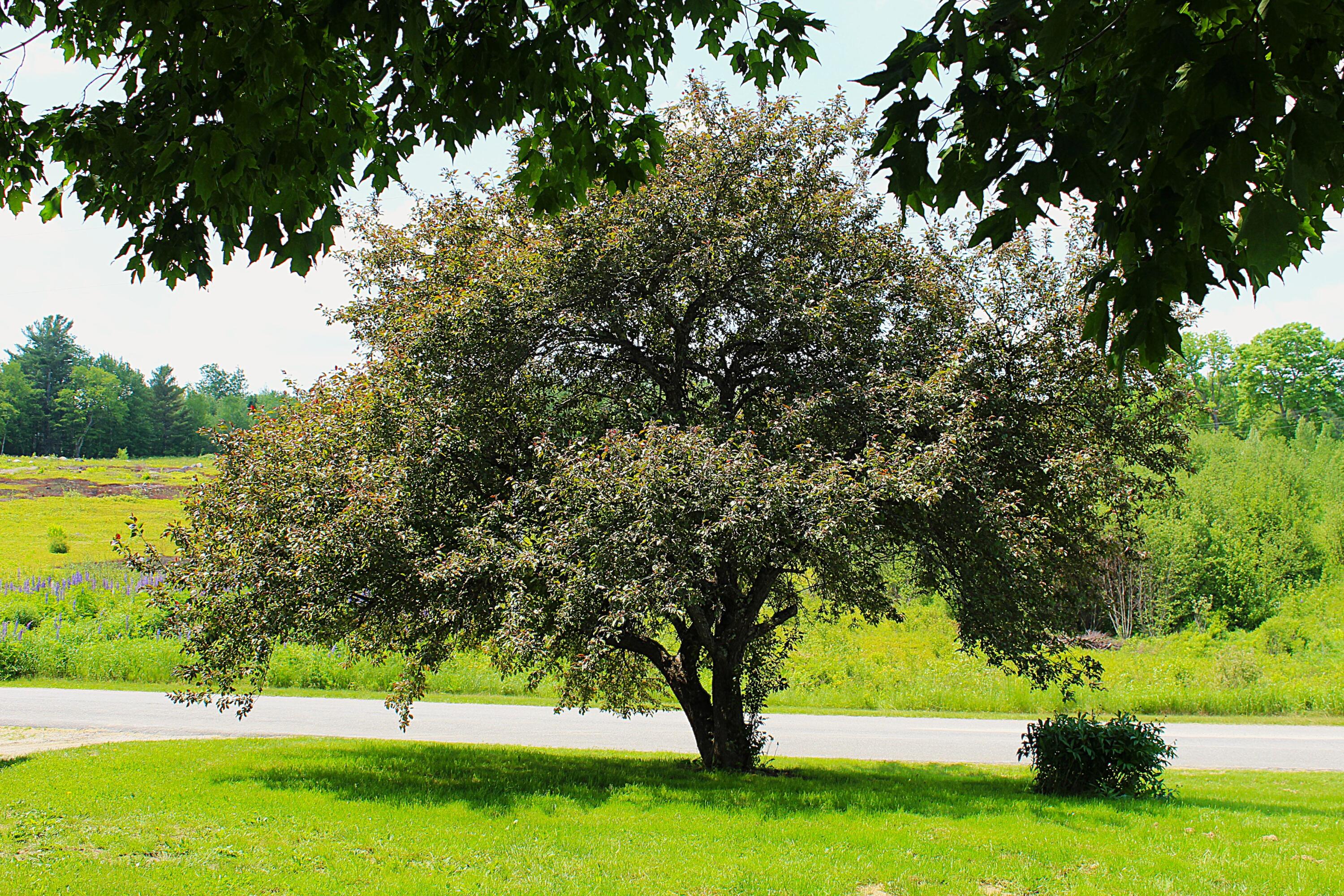 81 Blueberry Lane Stockton Springs ME 04981