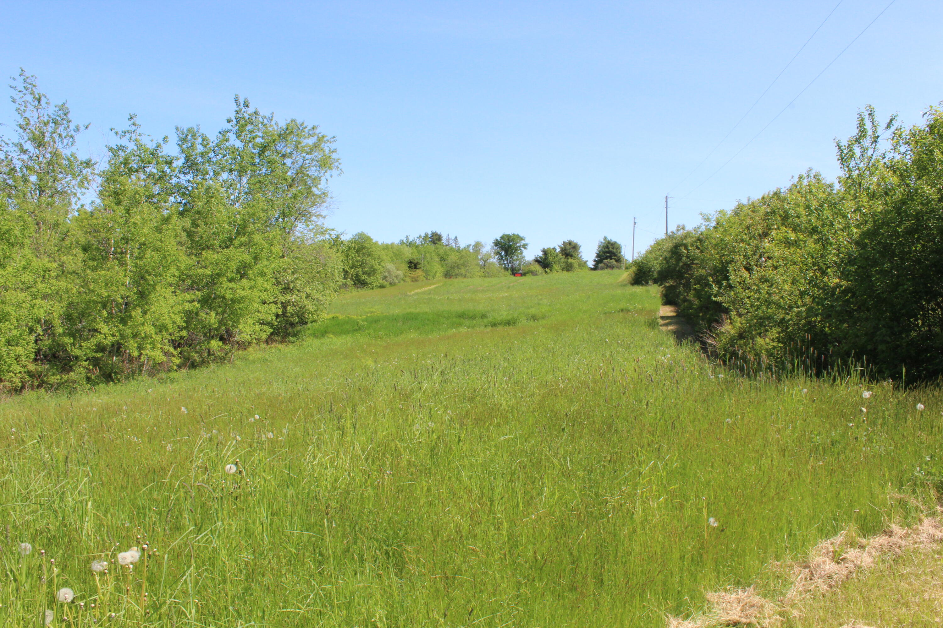 81 Blueberry Lane Stockton Springs ME 04981