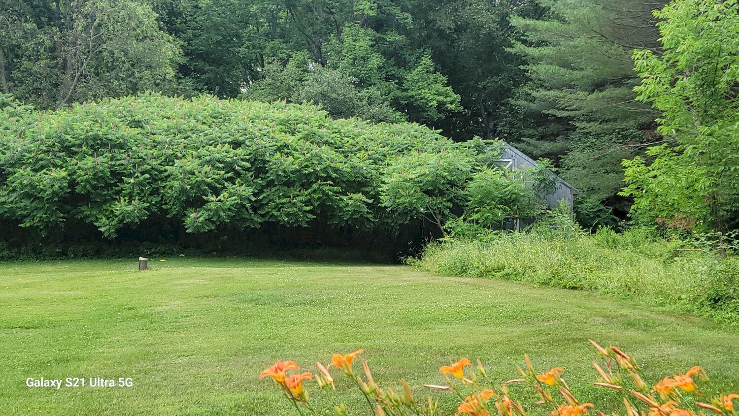 263 W Ridge Road Cornville ME 04976