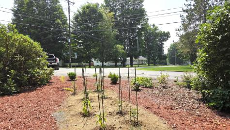 30 Bowdoin Street Houlton ME 04730