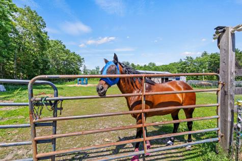 295 Buxton Road Saco ME 04072