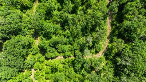 295 Buxton Road Saco ME 04072