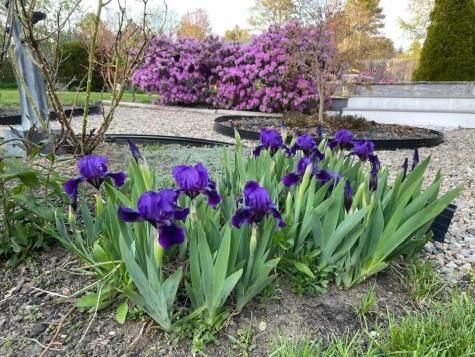 68 Alpine Road Portland ME 04103