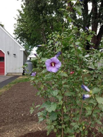68 Alpine Road Portland ME 04103
