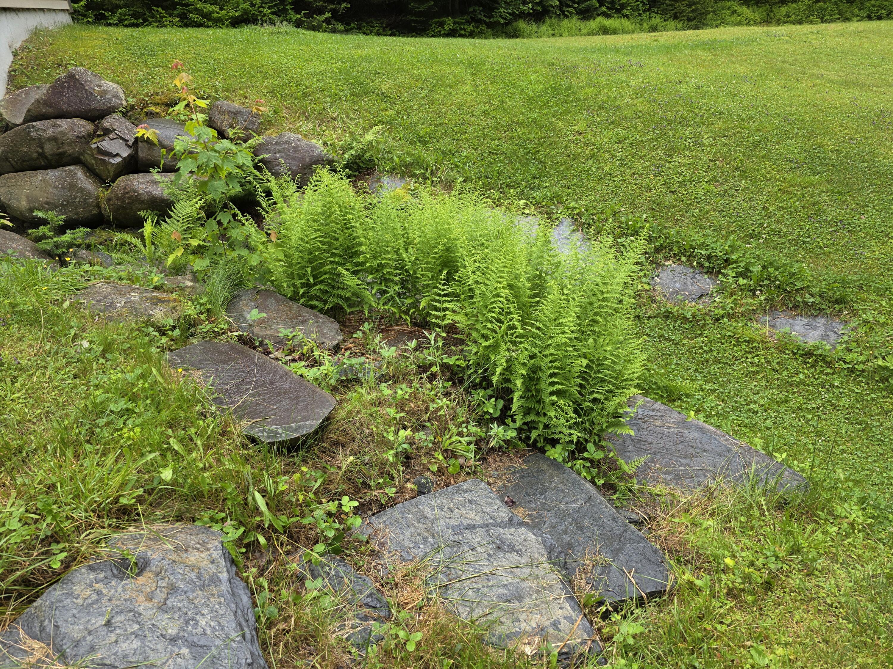 9 Ledge Drive Greenville ME 04441