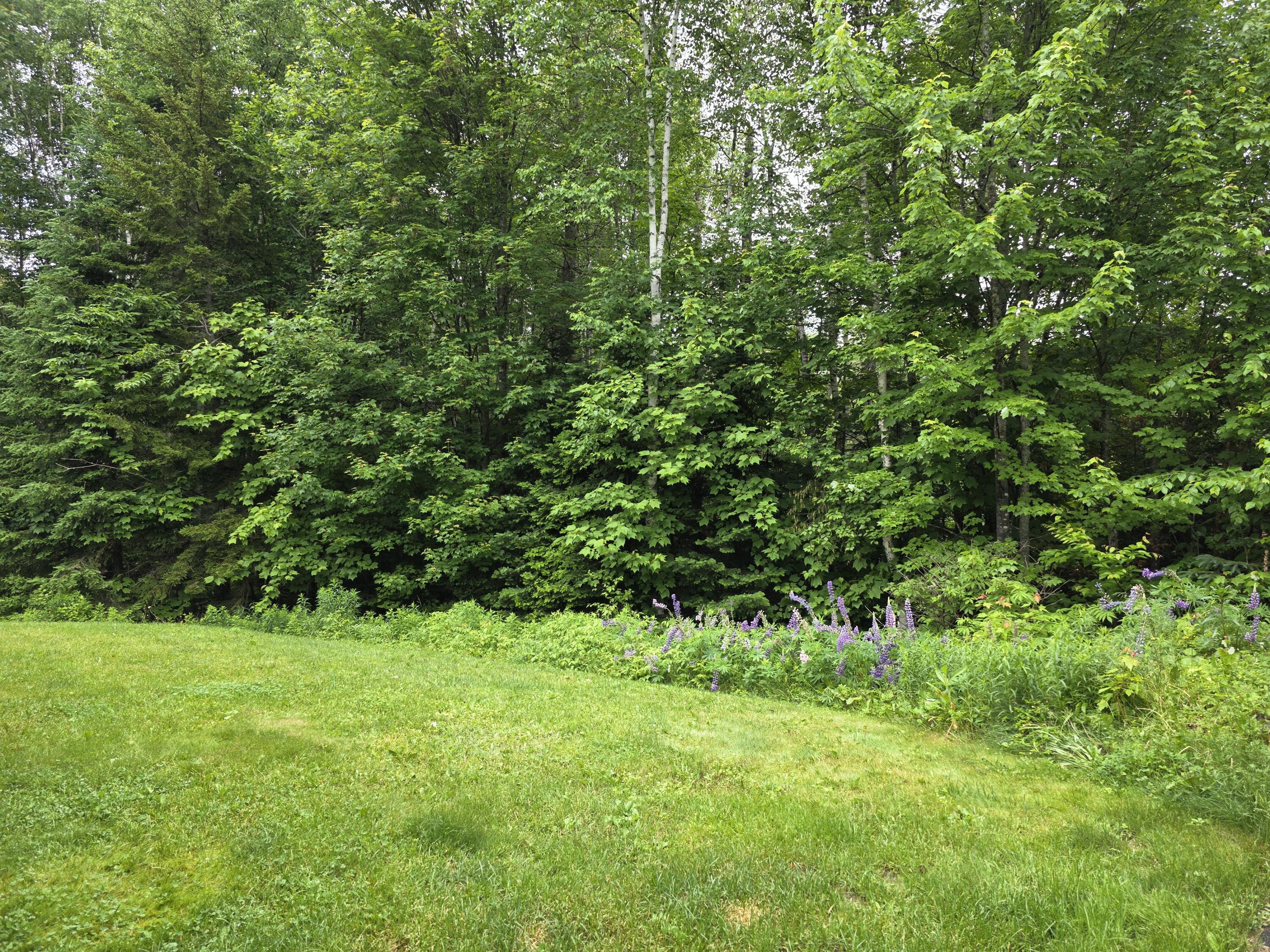 9 Ledge Drive Greenville ME 04441