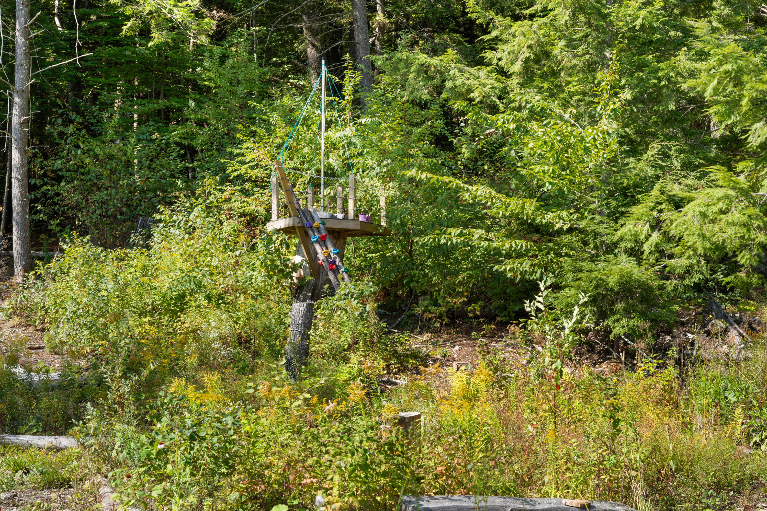 8 Shadbush Lane Orono ME 04473