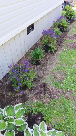 900 W Bay Road Gouldsboro ME 04607