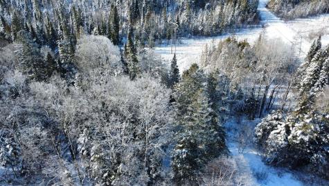 932 Van Buren Road Caswell ME 04750