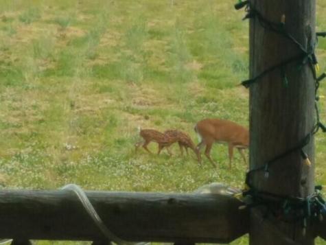 551 E Sangerville Road Sangerville ME 04479