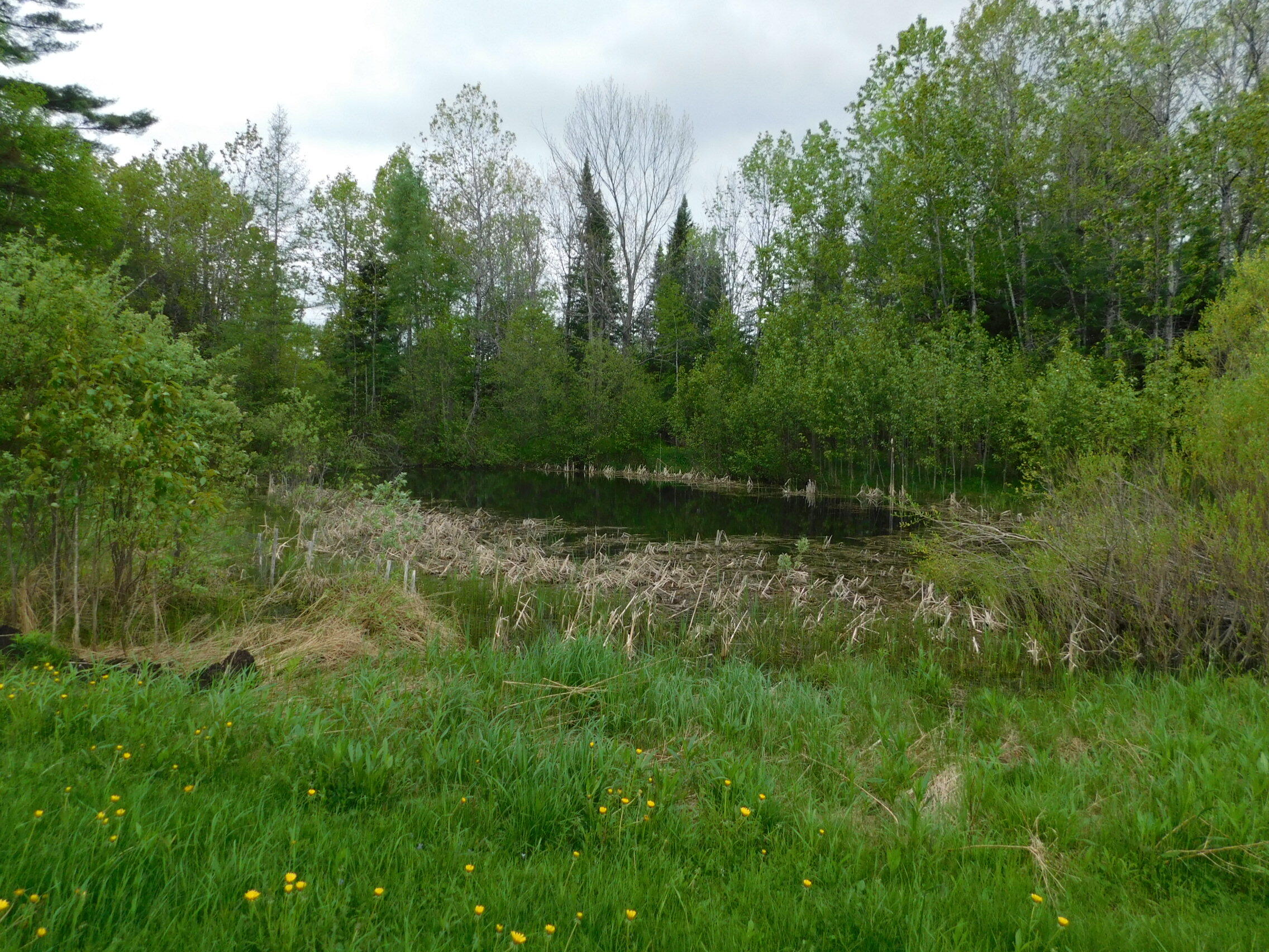 81 S Main Street Athens ME 04912