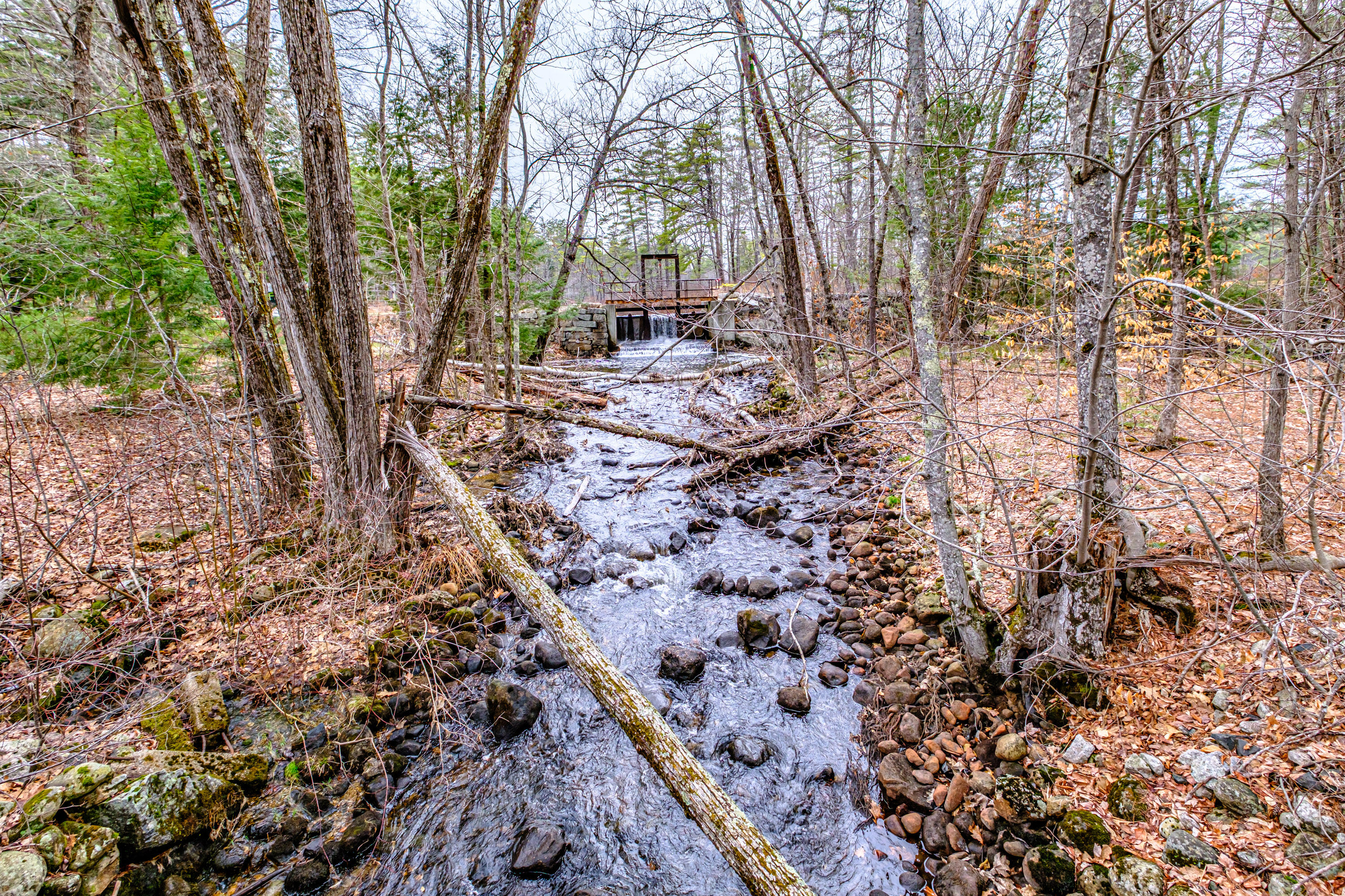 515 Bickford Pond Road Porter ME 04068