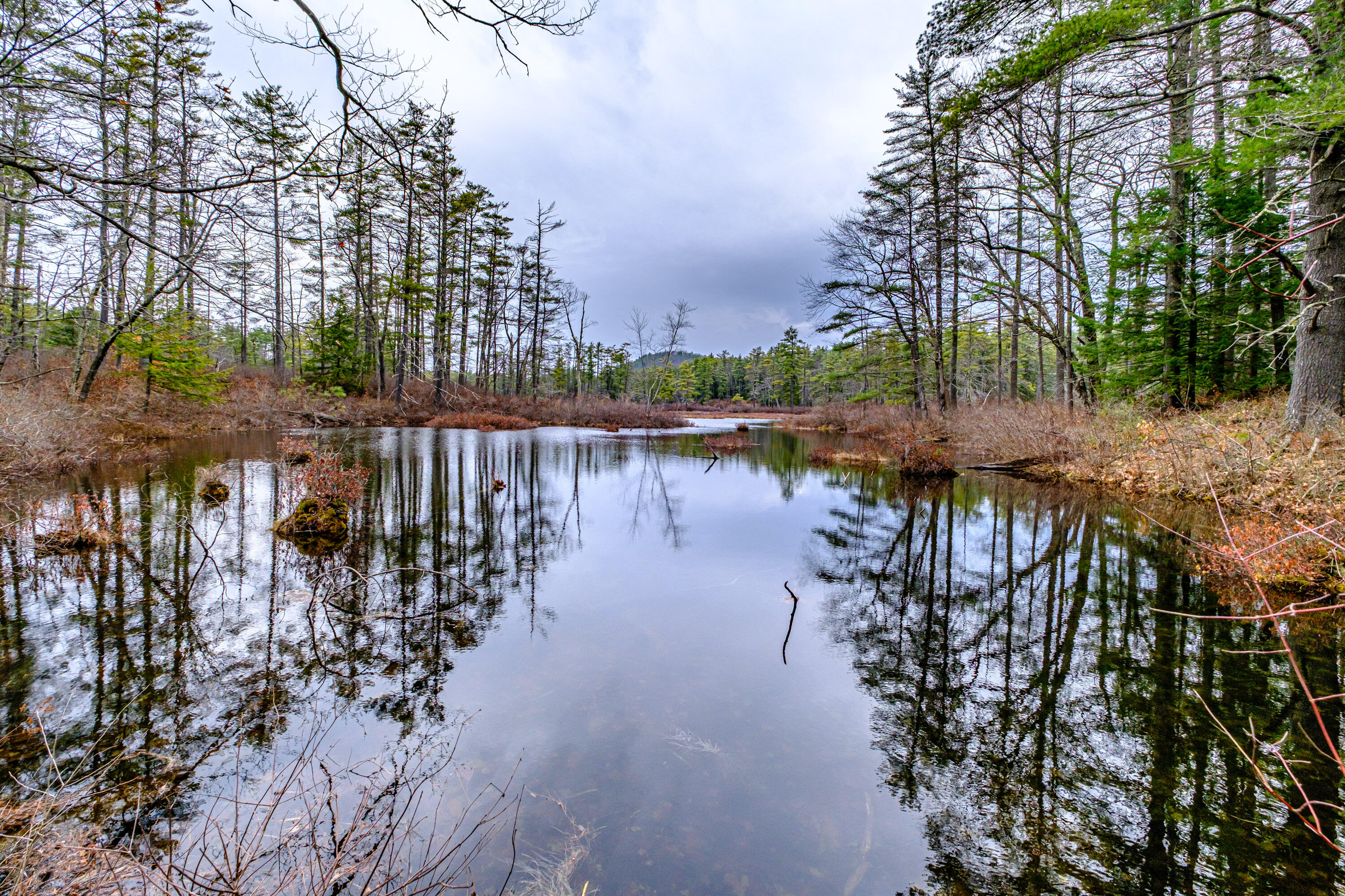 515 Bickford Pond Road Porter ME 04068