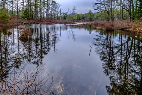 515 Bickford Pond Road Porter ME 04068