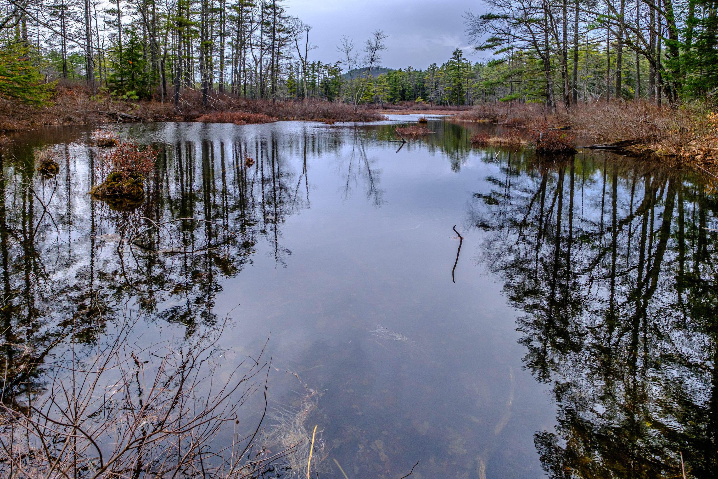 515 Bickford Pond Road Porter ME 04068