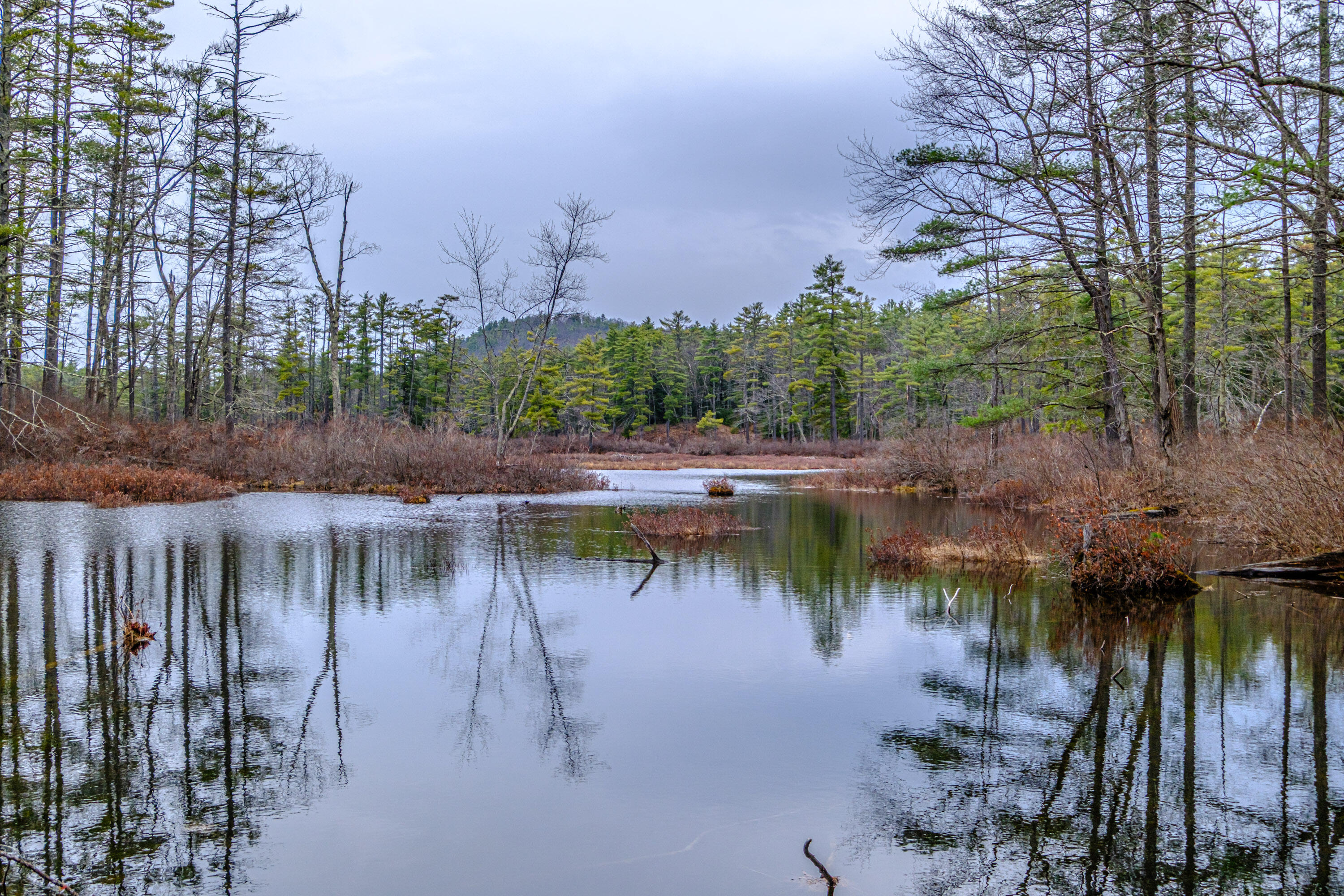 515 Bickford Pond Road Porter ME 04068