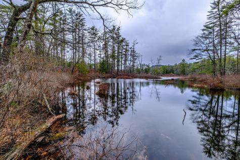 515 Bickford Pond Road Porter ME 04068