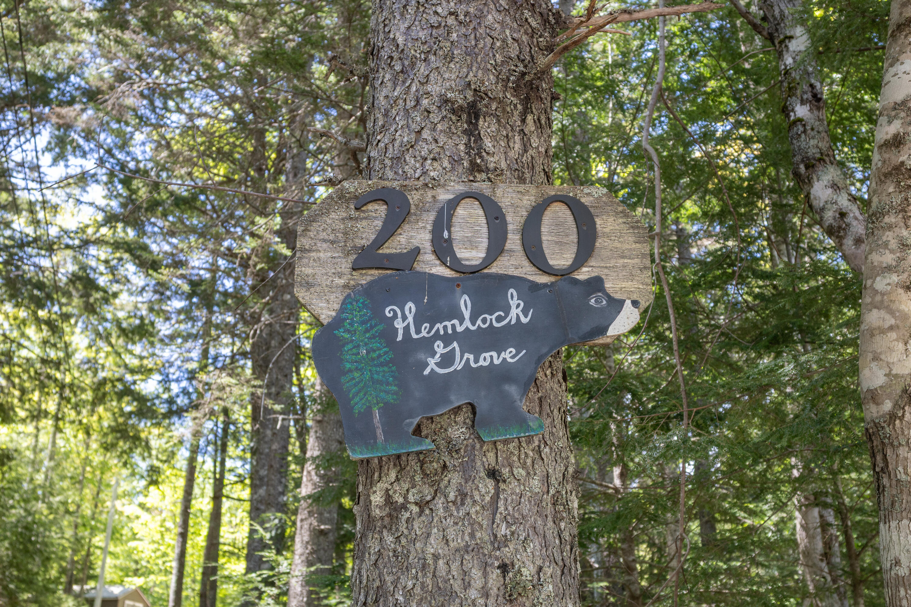 200 Flanders Pond Road Sullivan ME 04664