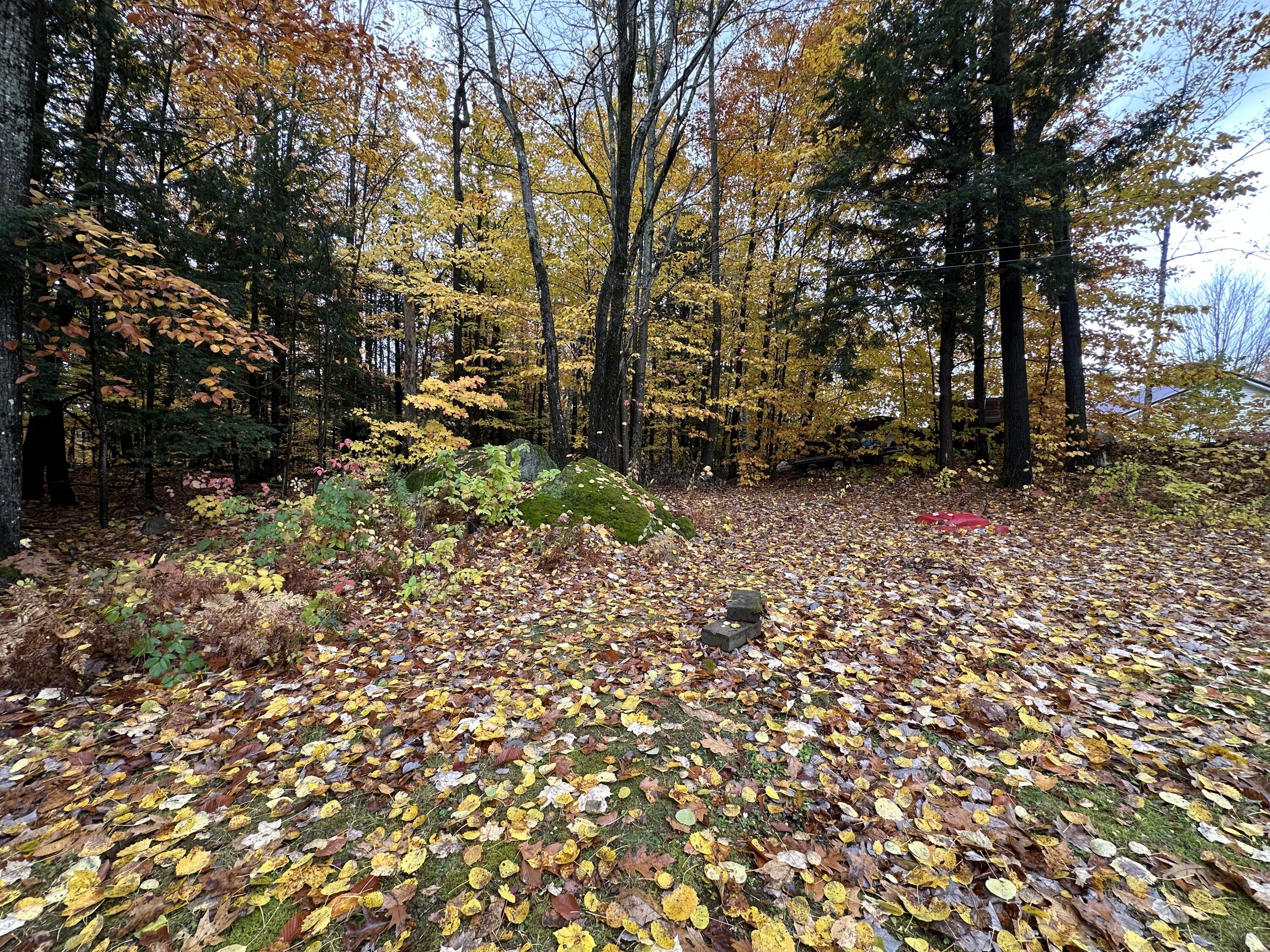 21 Ludden Drive Jay ME 04239