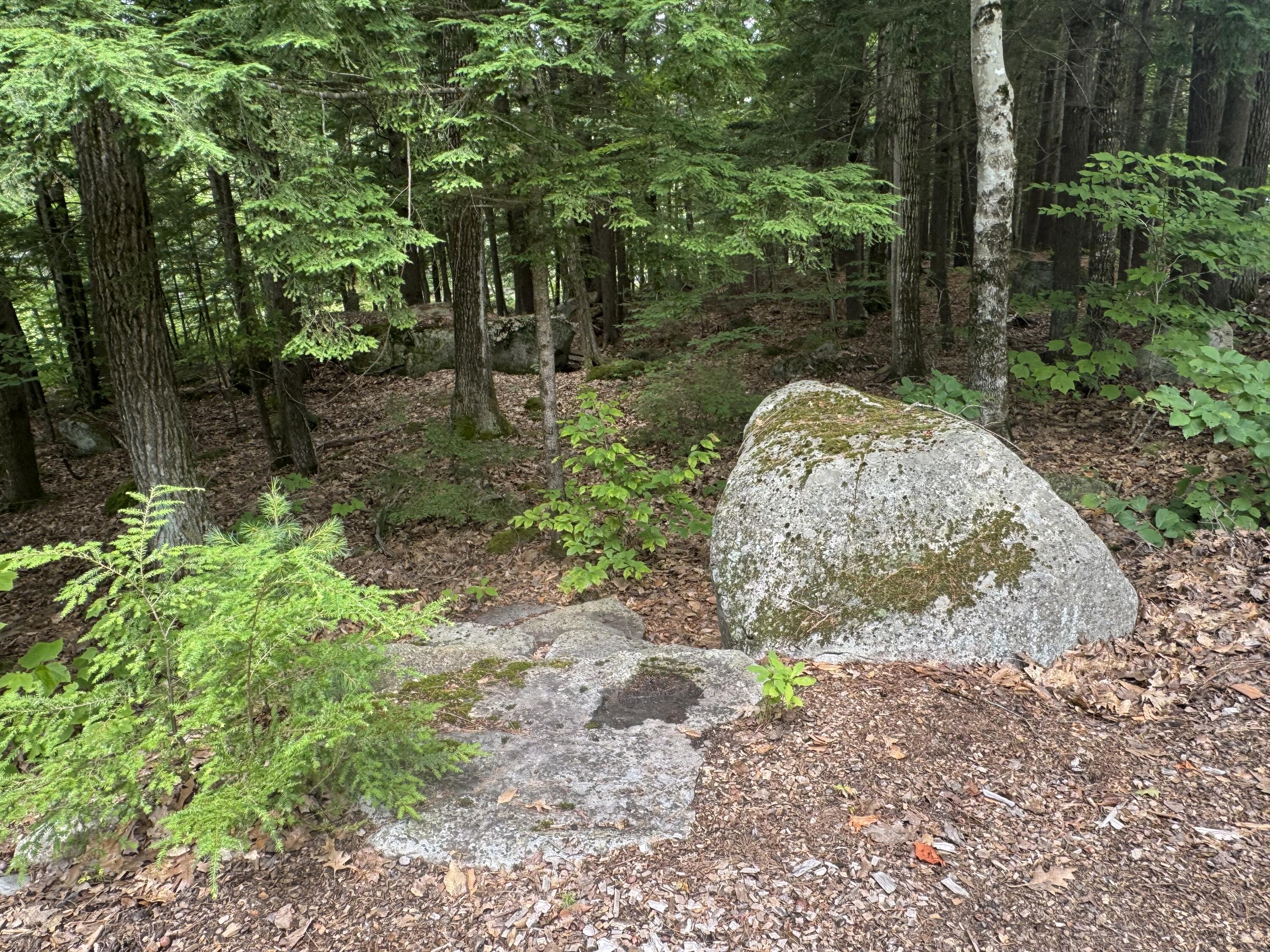 1 Castle View Lane Belgrade ME 04917