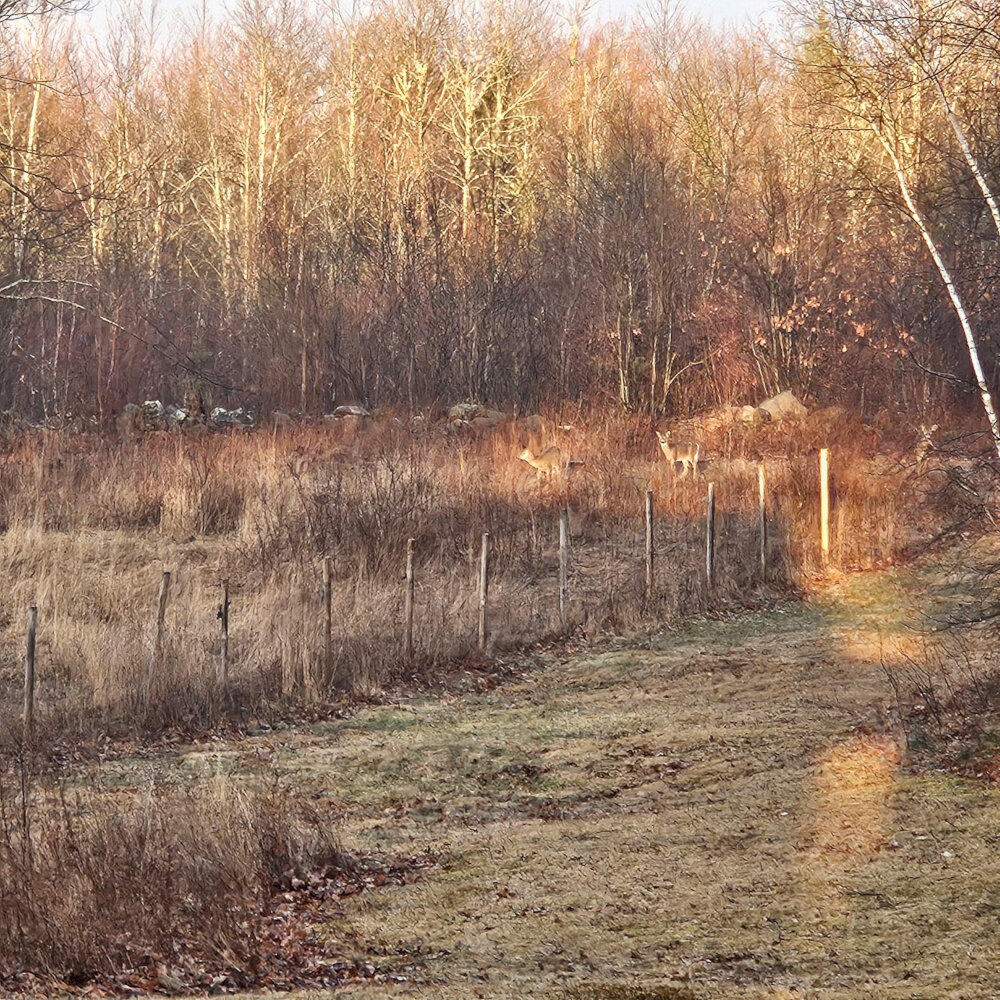 373 Mount Road Burnham ME 04922