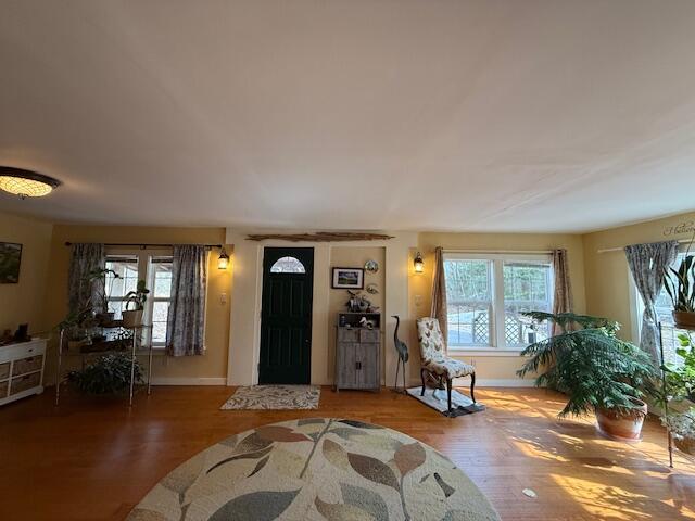 203 Garnet Head Road Pembroke ME 04666