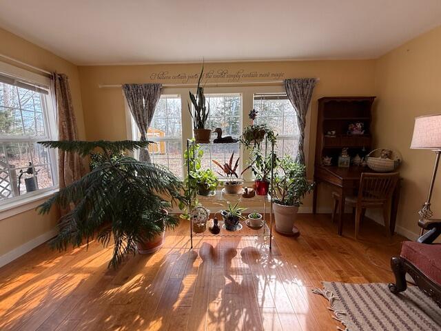 203 Garnet Head Road Pembroke ME 04666