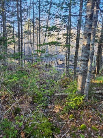 2 Winter Street Northport ME 04849