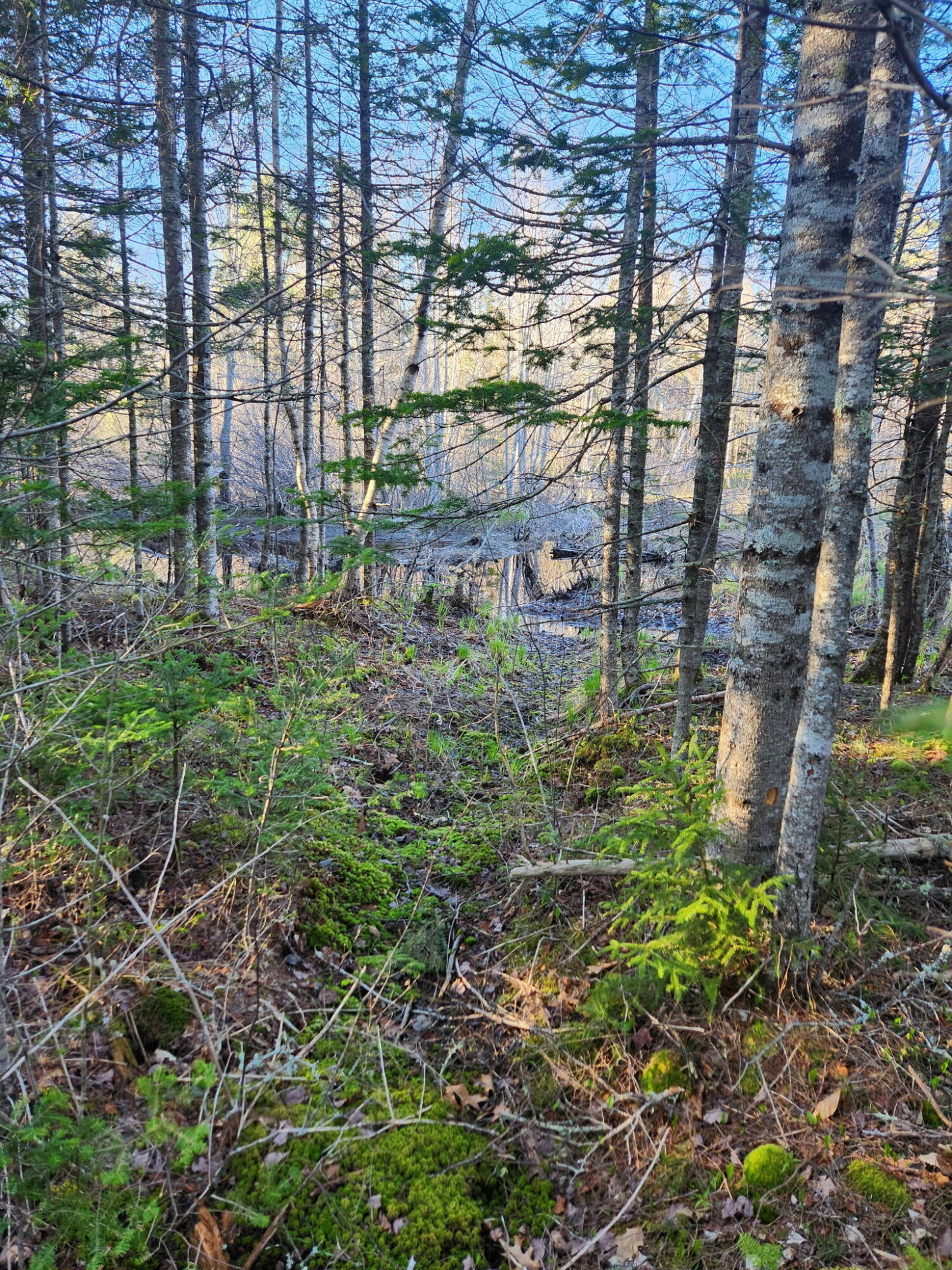 2 Winter Street Northport ME 04849