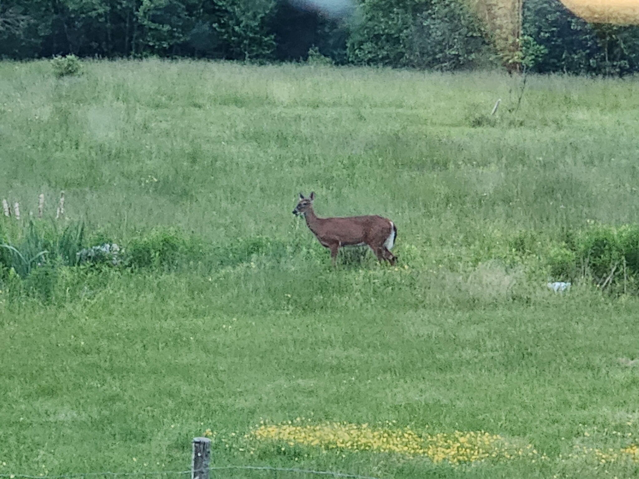 2 Winter Street Northport ME 04849