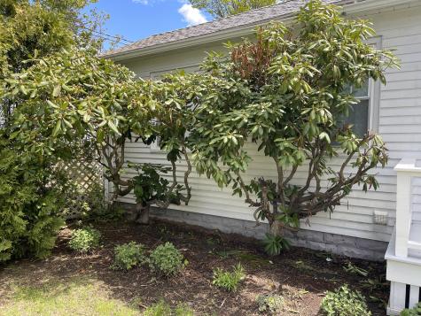 12 Grandview Avenue South Portland ME 04106