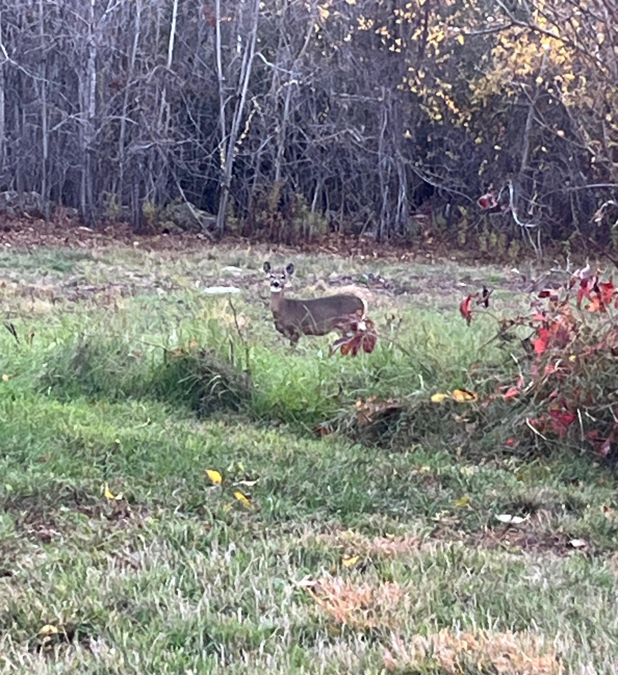 32 Dillon Road Harrison ME 04040