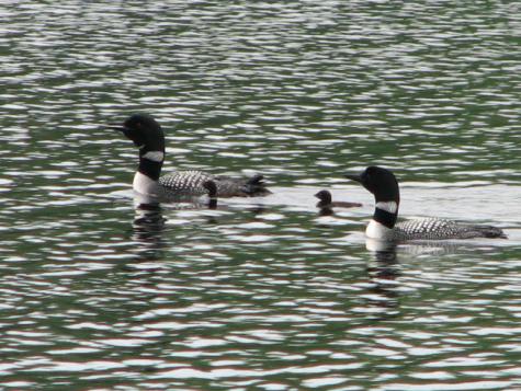 244 Smith Road Grand Lake Stream Plt ME 04668