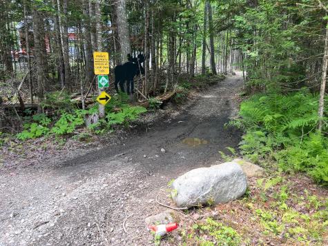 2 Loon Lane Abbot ME 04406