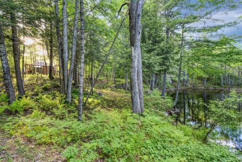 76 North Bridgton Road Waterford ME 04088