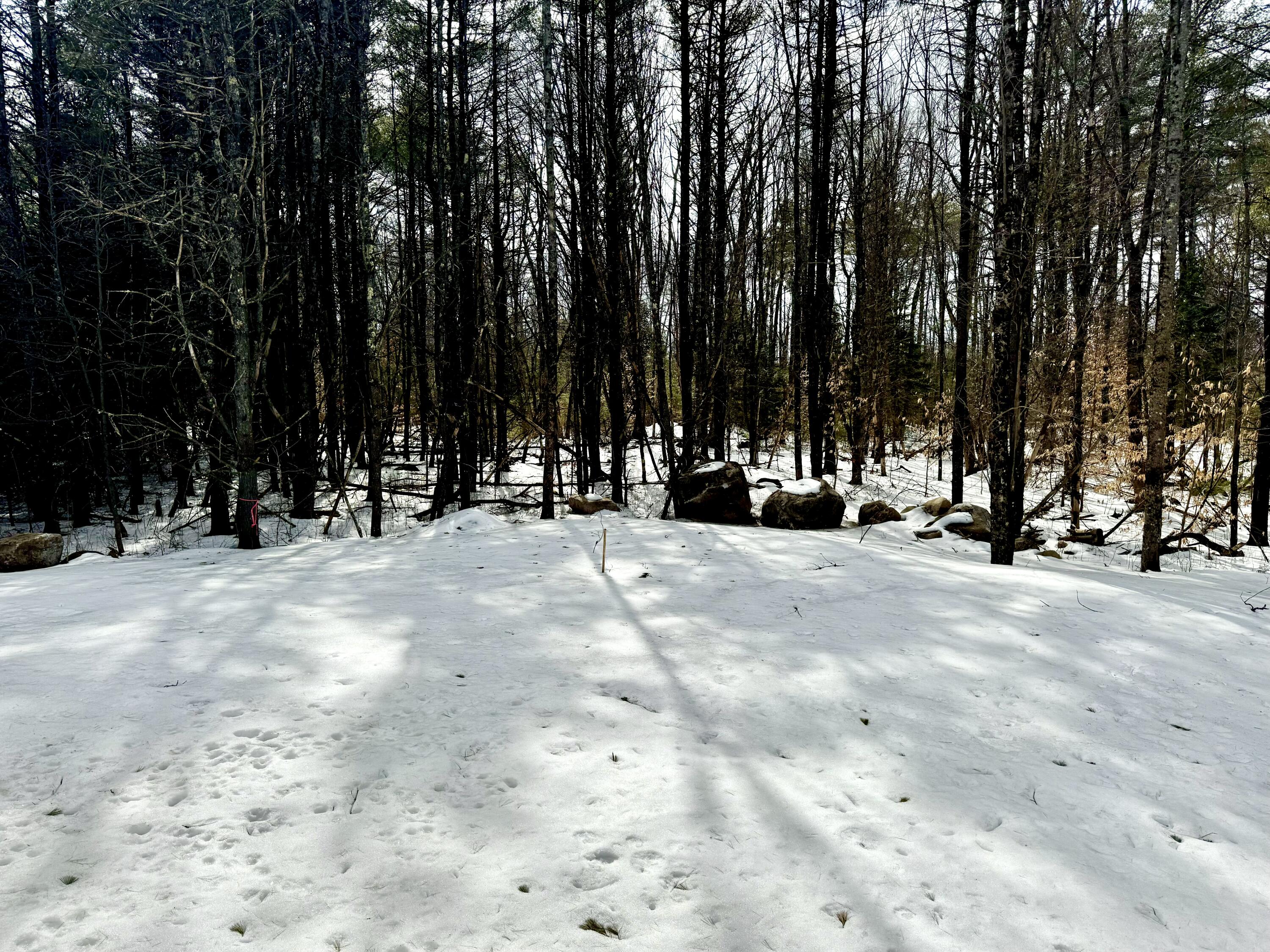 10 Conesca Road Raymond ME 04071