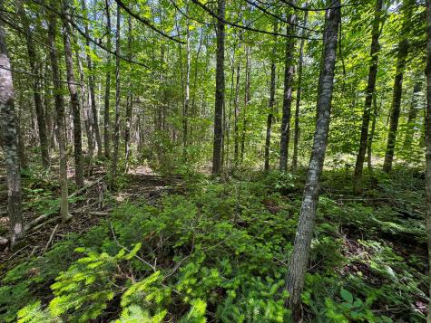 176 Front Ridge Road Houlton ME 04730