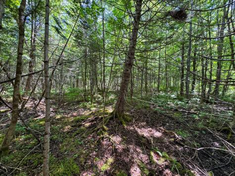 176 Front Ridge Road Houlton ME 04730