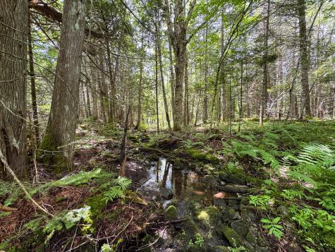 176 Front Ridge Road Houlton ME 04730