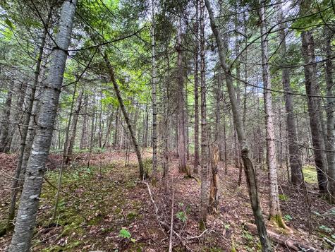 176 Front Ridge Road Houlton ME 04730