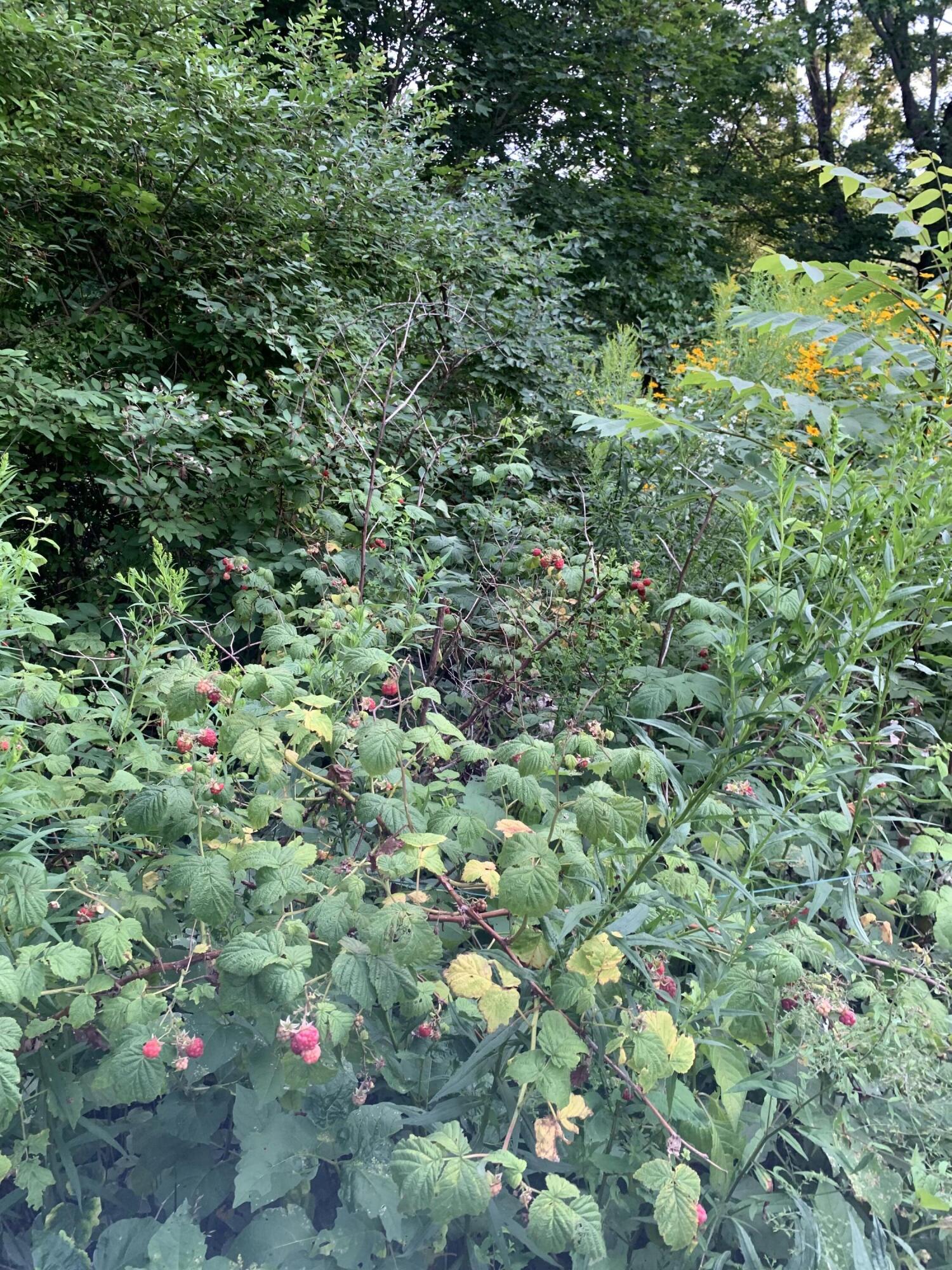 18 Belgrade Road Oakland ME 04963