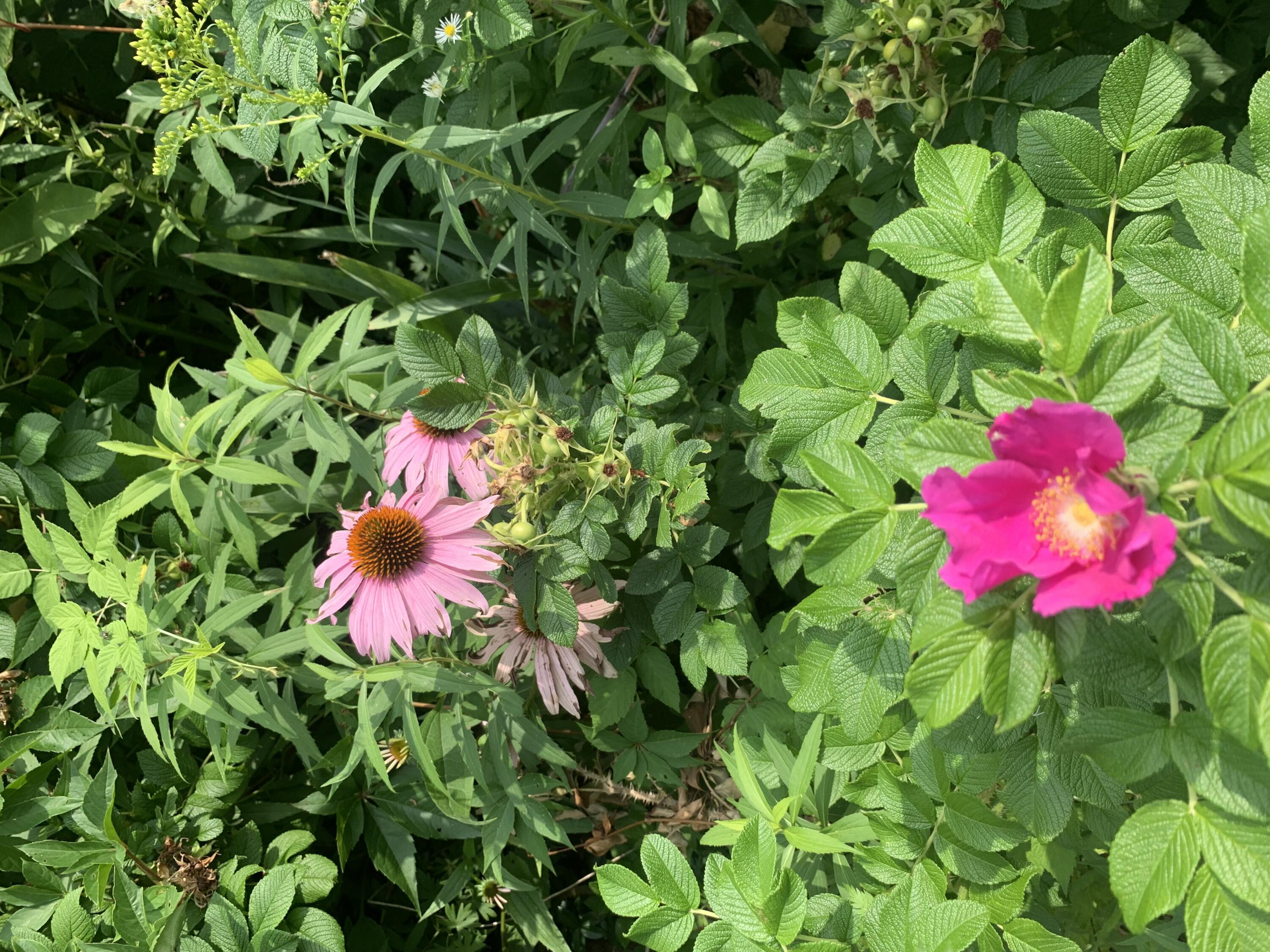 18 Belgrade Road Oakland ME 04963