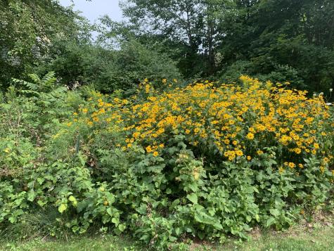 18 Belgrade Road Oakland ME 04963