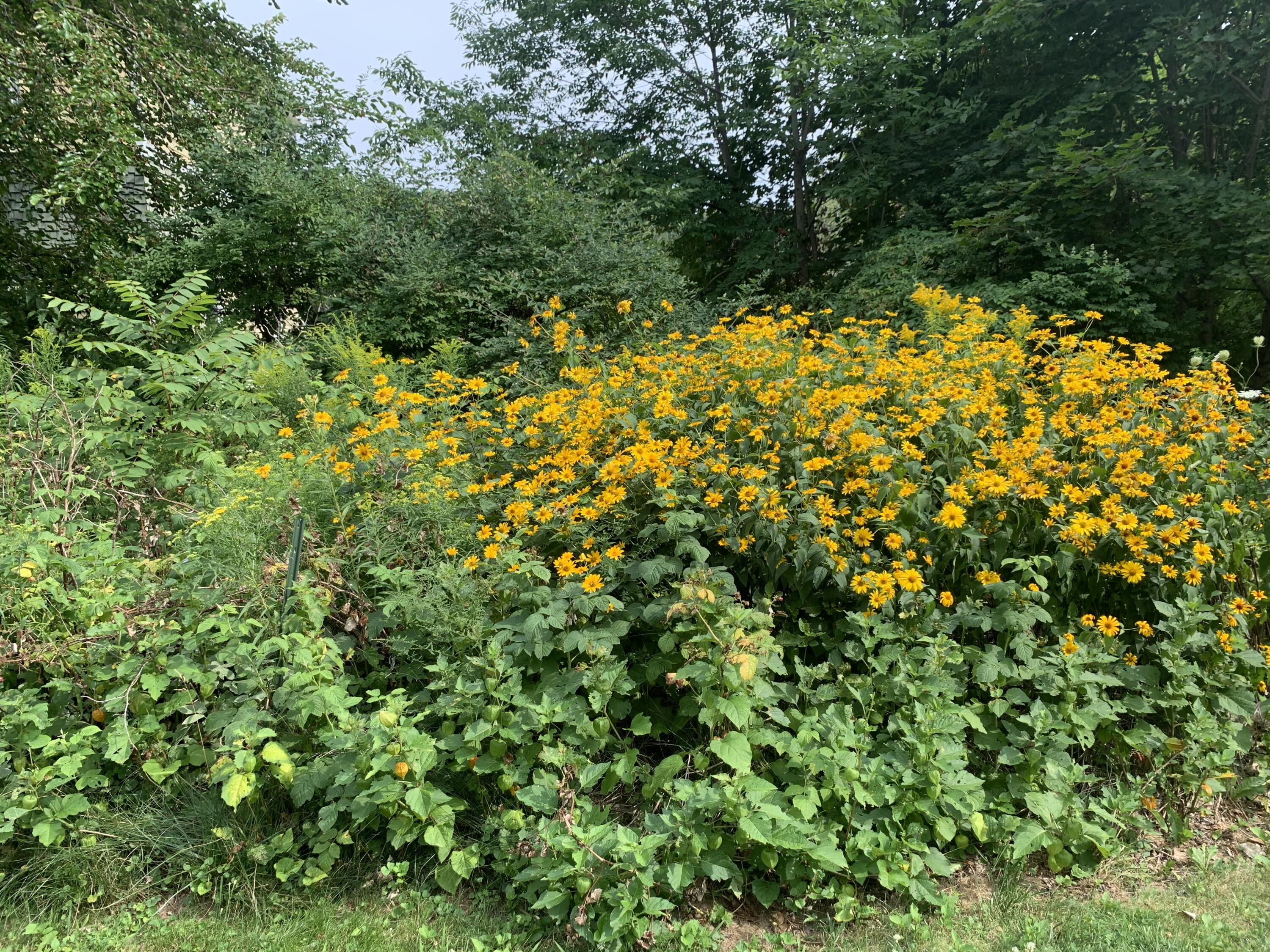 18 Belgrade Road Oakland ME 04963