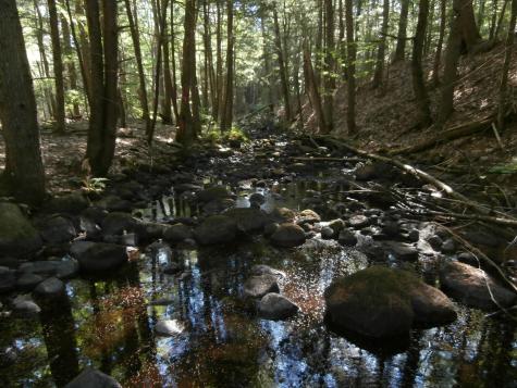 155 Quarry Road Limerick ME 04001