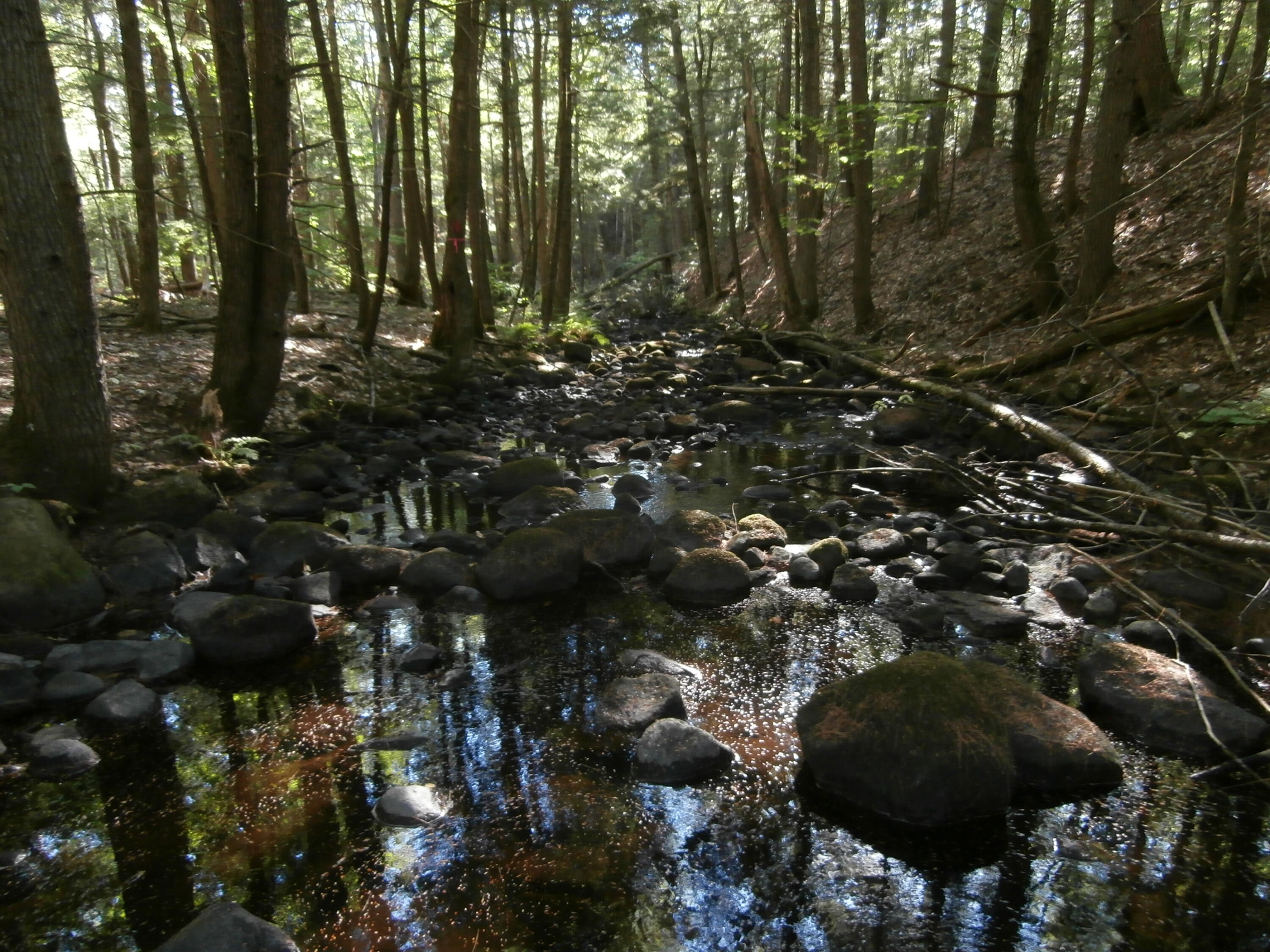 155 Quarry Road Limerick ME 04001